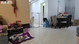 金毛胖妞想抢劫胖墩儿被关禁闭，贼心不死，四下求助