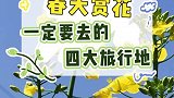 赏花不得不去的四个旅行地