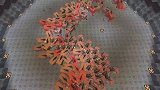 我的世界MC动画：疣猪兽VS变异疣猪兽