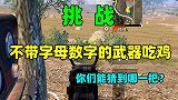 人机47：挑战用不带字母数字的武器吃鸡，你们猜是哪一把？