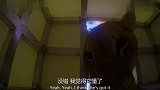 狮子不愧是自然界中高智商的动物,竟能观察和学习同伴的行为