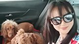 三个女人，两条狗！老李带我们去西双版纳浪……