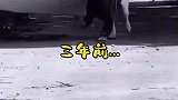 毁容之后狗子更好笑了