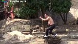 真功夫:一见三生有幸 自然门基本功走簸箕不是传说