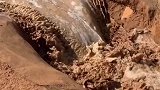 沙漠里发水可不是什么好事啊