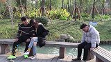 温州男子一周失恋7次，在公园听到一对情侣的对话，让他醒悟了