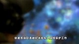 《未成年人网络保护条例》公布，2024年1月1日起施行
