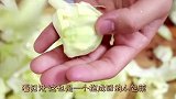 包菜的最正宗做法，干锅包菜的做法分享，出锅后味道香浓挡不住