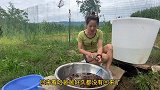 给老爸加餐。
