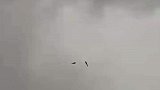 两只锦鲤风筝在乌云中畅游，好似一幅水墨画惊艳众人