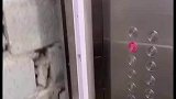 你们知道开电梯门看到的是一堵墙有多可怕吗