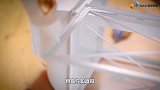 科学家研发“超级胶水”，采用交联技术，能吊起皮卡！