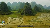 台积电创始人称：中国“举国之力”也很难做出顶级芯片，你怎么看