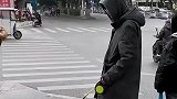 社牛遇到狗，看把狗吓得