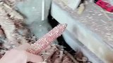 女子才回来几天大妈已经这样了，不管干啥都看不顺眼了