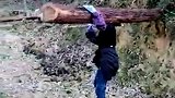 周末放学回家帮爸爸扛树，农村勤劳的女孩子！