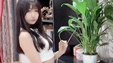 今天想勾引这片叶子