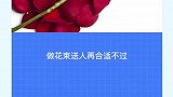 你收到的玫瑰花其实是月季，你能看出两者有什么不同吗？
