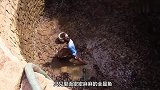 洞里经常传出大动静，男子冒险钻下去，直接拎起一条大家伙！
