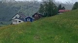 挪威不止有森林