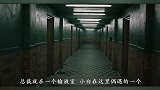如果你能长生不老你会做什么？