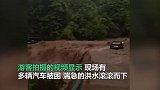 成都一露营地突遭山洪多辆车被困 工作人员：事先有预警，无人受伤