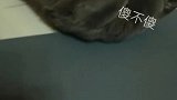 剪指甲噩梦