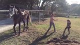 主人站在草地上跳舞，小马也跟着跳了起来，好有趣啊！