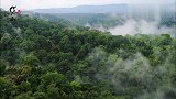 横断山脉南端有个保山，这里有座世界物种基因库高黎贡山