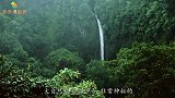 一别18载，黑猩猩一眼认出救命恩人，互相拥抱笑中带泪