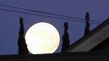 赏月最佳时刻城里的月光新版