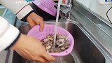 平菇别总是烧豆腐了，大厨教你家常平菇特色做法，给红烧肉都不换