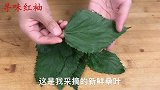 这才是桑叶茶的正确做法？1分钟学会，自己动手就能做！