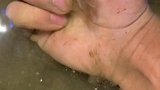 养鱼日记 我的生活日记 热门