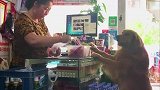 金毛轮胎买烟记，轮胎的家庭地位上升的很快呢，轮胎太可爱了