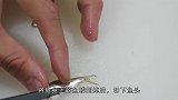 1厘米的鱼也能做料理日本小哥教程，在小的鱼也要开膛破肚