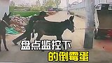 监控下的倒霉蛋们