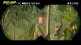 《莫莉的冒险》发布终极预告