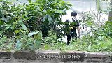 男子外出游玩，看到河边有一神秘物体，看清后赶紧抱回家