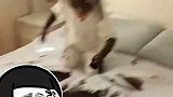 俩孙女墨水抹满脸和床，奶奶气着就笑了，奶奶脾气很好，没骂她们