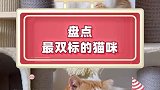 天道好轮回，苍天饶过谁