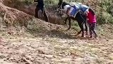 黄土情深，记录农村生活