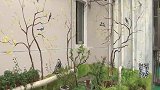 三元河社区：“迷你花园”扮靓居民生活