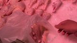 大彭做琵琶腿炖土豆圆粉，老爸不饿吃好几个，大彭吃的满嘴香