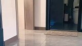 萌娃家中走秀一人分饰四角色