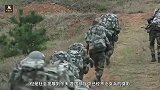 为何日本女兵那么多？二战时期就有了！承担多种工作
