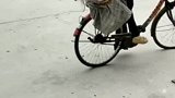 搞笑视频：这动作熟练的让人心疼啊！