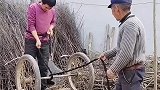 下地窖拿地瓜，梯子坏了，还是老爸聪明啊