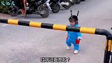 搞笑：还晓得叉腰瞪眼，我真怀疑它也晓得独自是国宝