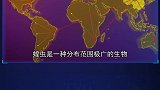 6种奇怪的动物现象
